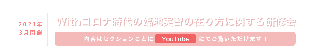 看護学士課程教育の質を高める カリキュラム開発に関する研修会