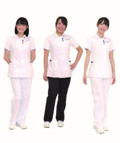 共立女子大学 ザ データベース オブjanpu 日本看護系大学協議会会員校データベース