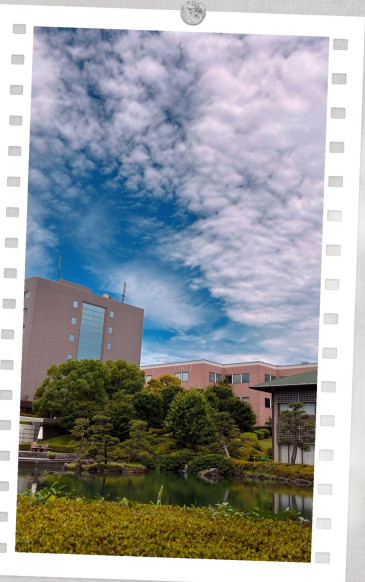 学校法人駒澤学園　駒沢女子大学のユニフォーム