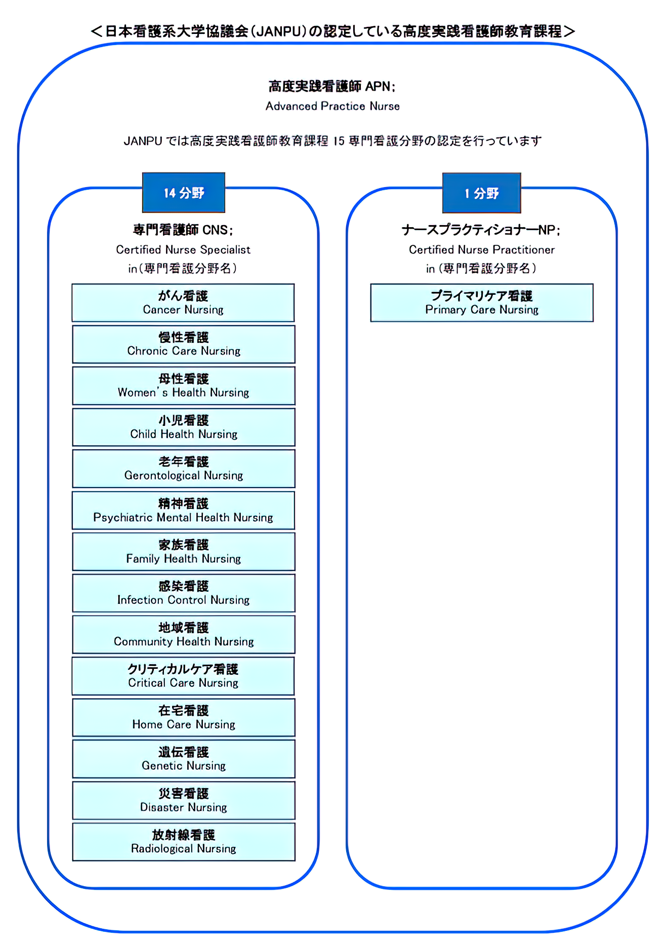 高度実践看護